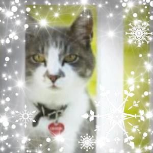 Meet your Posher, Guylaine